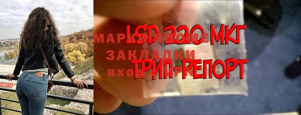 гашик Володарск
