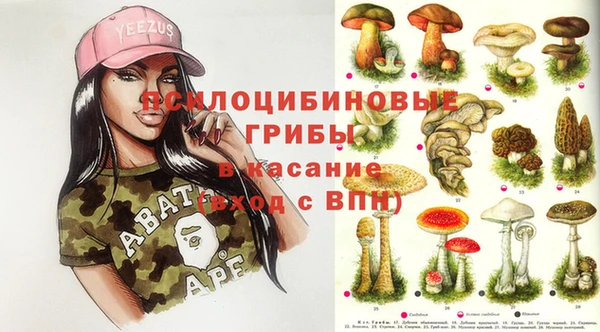 ешки Верея