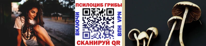 Купить  Заинск  Псилоцибиновые грибы мухоморы 